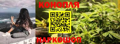 молекула духа Малоярославец