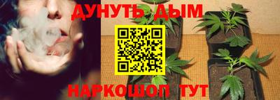 молекула духа Малоярославец