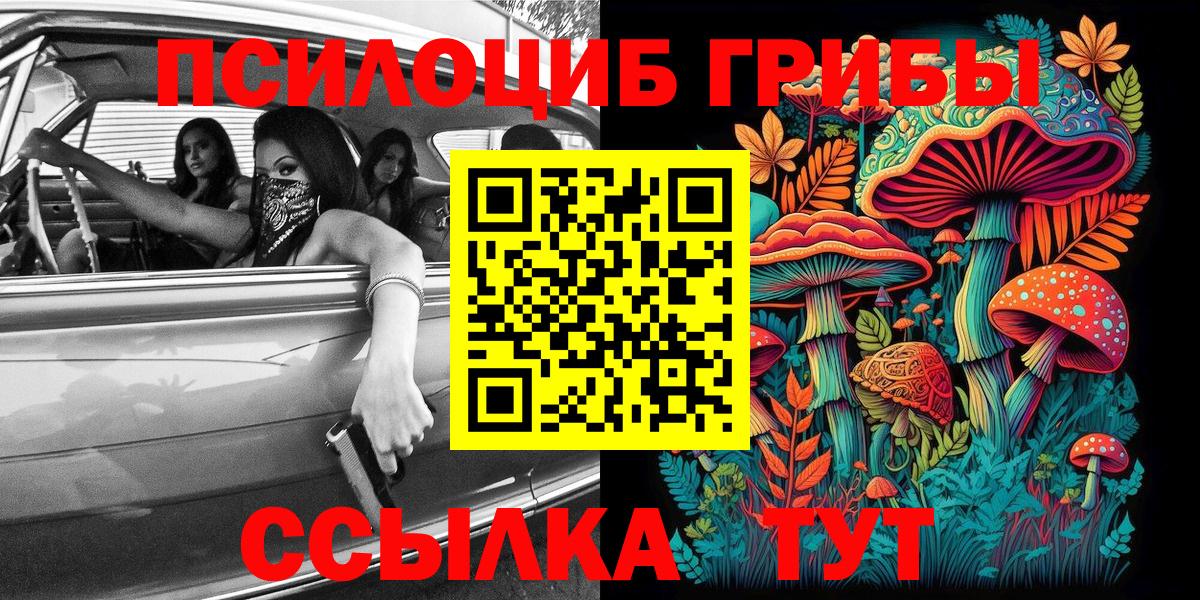Унеча  Псилоцибиновые грибы Psilocybe  как найти закладки  Вход с VPN 