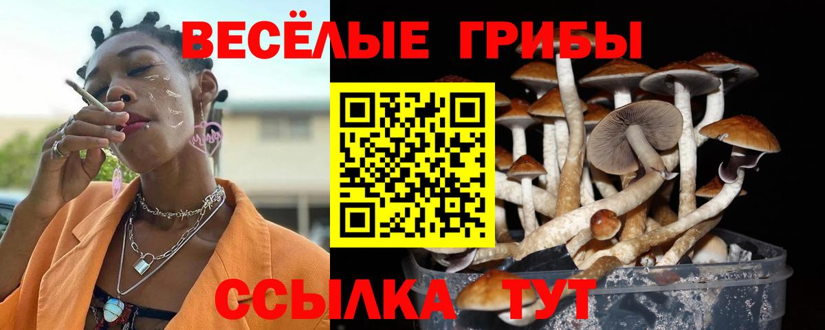Галлюциногенные грибы мухоморы Унеча